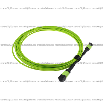 Le câble à plusieurs modes de fonctionnement 12 de fibre d'OM5 MPO creuse la corde de correction de 3.0mm LSZH MPO