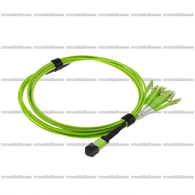 MPO - câble à plusieurs modes de fonctionnement de fibre de la corde de correction de la fibre 8xLC OM5 8F 3.0mm LSZH MPO