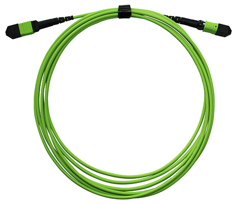 24 fibres multi-mode MPO MTP câble à fibres optiques en lin vert LSZH veste