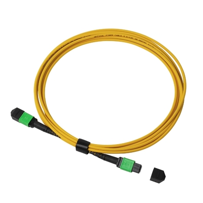 Pénum OFNP MPO Cordon de patch 1m 3ft MTP-12 APC Femme à MTP-12 APC Femme mode unique OS2