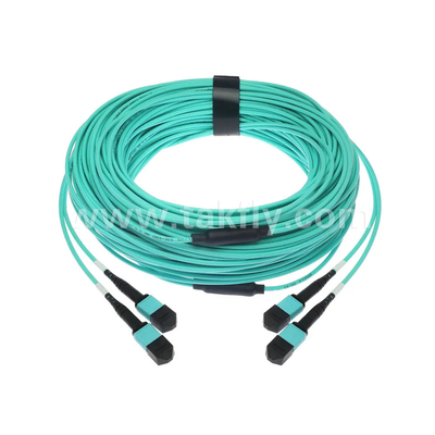 24 cœurs MTP câble troncal Jumper en fibre optique pour le centre de données FTTX PVC personnalisable
