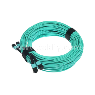 24 cœurs MTP câble troncal Jumper en fibre optique pour le centre de données FTTX PVC personnalisable