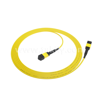 Centre de données FTTX câble à fibre optique MPO patch cord MTP câble tronc blindé SM MM Jumper