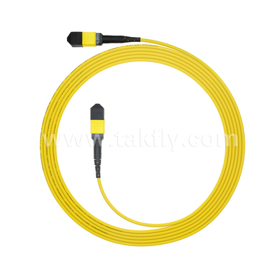 Centre de données FTTX câble à fibre optique MPO patch cord MTP câble tronc blindé SM MM Jumper