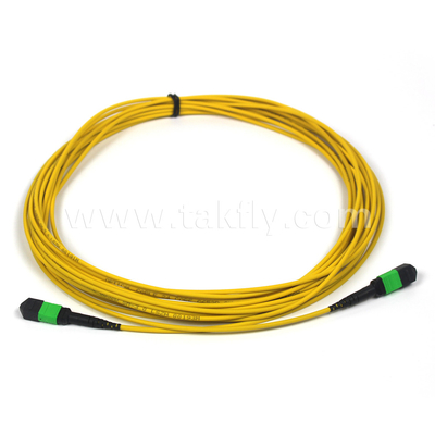 MTP-12 APC féminin à MTP-12 APC féminin Single-mode OS2 Plenum OFNP Type A MPO câble de patch