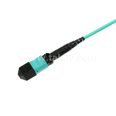 Élite Multimode OM3 50/125 PLENUM OFNP Type B MPO cordon de patch 30m 100ft PC MTP-12 féminin à PC MTP-12 féminin