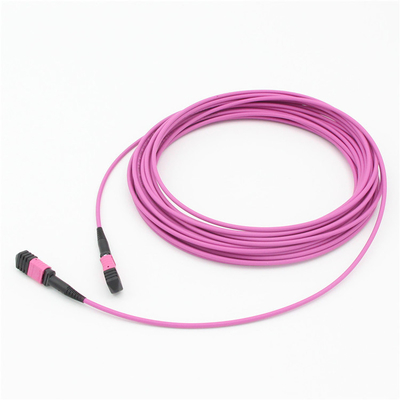 Élite Multimode OM4 50/125, Plénum OFNP Type B MPO câble de patch 1m 3ft PC MTP-12 féminin à PC MTP-12 féminin