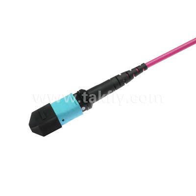 Élite Multimode OM4 50/125, Plénum OFNP Type B MPO câble de patch 1m 3ft PC MTP-12 féminin à PC MTP-12 féminin