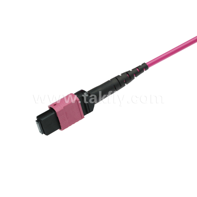 Élite Multimode OM4 50/125 PLENUM OFNP Type B MPO Patch Cord 3.0mm Cable 10m 33ft MTP-12 PC féminin à MTP-12 PC féminin