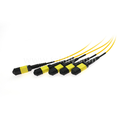 Cable à fibre optique MPO/MTP SM/MM PLC Splitter 1x4 pour le centre de données FTTX