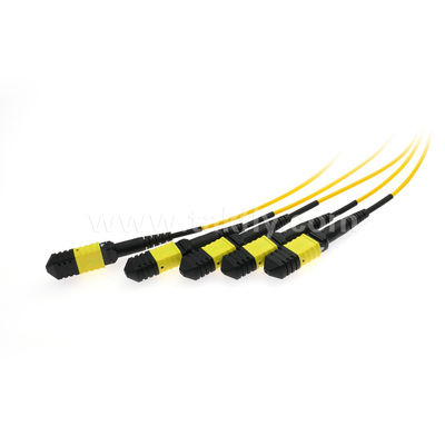 MPO/MTP Fanout Cable PLC Splitter 1x4 SM/MM Fibre optique pour le centre de données FTTX