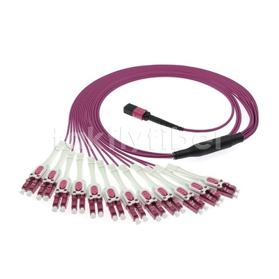 24F MTP 12x LC DX Uniboot OM4 Cordon de patch en fibre pour les réseaux à grande vitesse