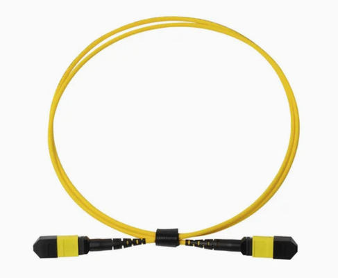 FTTH Intérieur extérieur LSZH Cordon de patch en fibre optique en PVC 12/24/48/96/144 Connecteur MPO/MTP