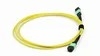 Cordon de patch en fibre MPO-MPO pour le centre de données 8-24