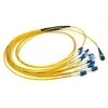 Cordon de raccordement MTP MPO 12 24 fibres OM3 OM4 Multimode Monomode