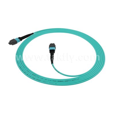 OM3 OM4 OM5 MM 8 12 16 24 MPO MTP Multimode Fibre Optique Patchcord / câble de patch de fibre optique / Jumper optique / câble de fibre optique pour le centre de données haute densité 10G 40G 100G 200G 400G