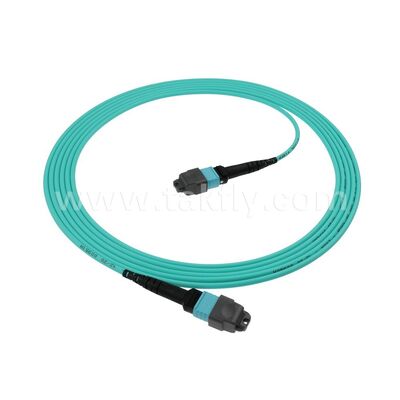 8F 12F 16F 24F MPO MTP mâle femelle OM3 OM4 OM5 Multimode Multimode câble de patch de fibre optique / câble de patch de fibre optique / câble de rupture optique / câble de tronc de fibre optique pour un centre de données à haute densité