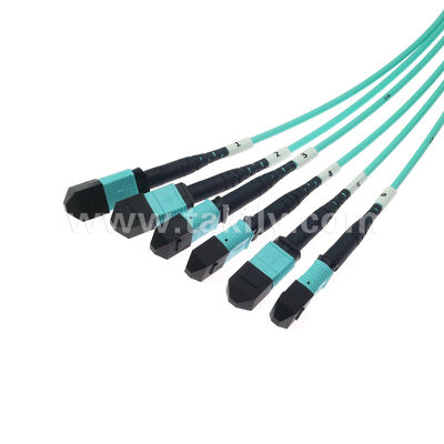 72 fibres 6x12F MPO MTP- 6x12F MPO MTP mâle femelle MM Multimode OM3 OM4 Cordon de patchage en fibre optique / câble de patchage en fibre optique / câble de rupture optique / câble de tronc en fibre optique / câble de décharge en fibre optique