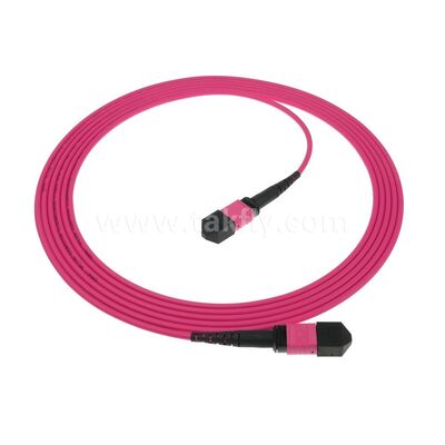 MPO/MTP Patchcord Single-mode Multimode LSZH 8f/12f/24f Câble à fibre optique pour le centre de données FTTX