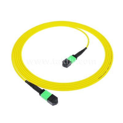MPO/MTP Patchcord Single-mode Multimode LSZH 8f/12f/24f Câble à fibre optique pour le centre de données FTTX