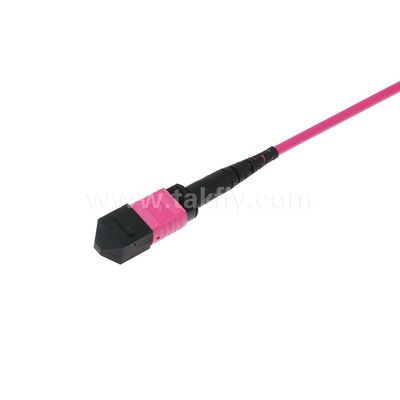 MPO/MTP Patchcord Single-mode Multimode LSZH 8f/12f/24f Câble à fibre optique pour le centre de données FTTX