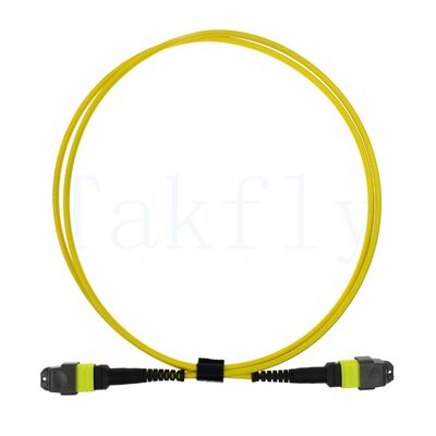 12F MTP(M)   MTP(F) Cordon de patch APC, SM G657A1, 1m, 3,0 mm, LSZH Jaune, bottes insensibles à la flexion, faible perte