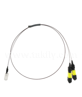 Ensemble de réseau de fibres MTP-16CH-FA – Connecteur MTP vers réseau de fibres à rainure en V à 16 canaux, faible perte d'insertion, pour émetteurs-récepteurs optiques à grande vitesse et applications CPO/centre de données