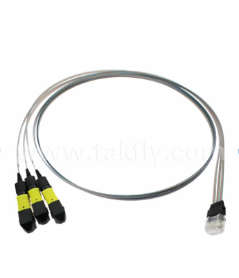 MTP 12CH×3 à 36 canaux assemblage de fibres de fibre 3×12CH connecteurs MTP à 36CH FAU V-Groove, faible perte d'insertion, pour les émetteurs-récepteurs optiques 1.6T et les optiques co-emballées (CPO)