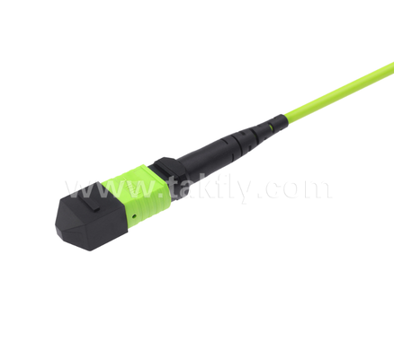 MPO/MTP à LC Uniboot Breakout Patch Cord   OM5 Multimode, 1×24, Connecteurs LC Uniboot économes en espace, pour les centres de données à haute densité et les applications 40G/100G/400G