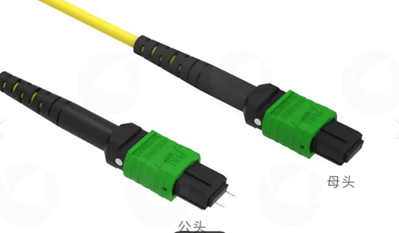 8F 12F 16F 24F MPO MTP mâle femelle SM MM câble à fibre optique / câble à fibre optique / câble à rupture optique / câble à fibre optique pour un centre de données à haute densité