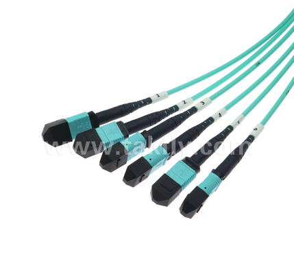 72-Core MPO/PC Trunk Patch Cord   OM3 Multimode, 6×MPO Entrée à 6×MPO Sortie, Faible Perte d'insertion, pour les centres de données à haute densité et les applications 40G/100G SR4/SR10
