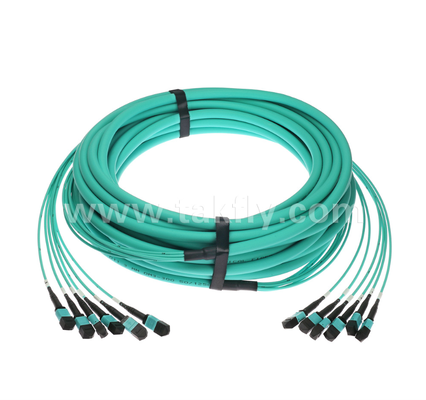 72-Core MPO/PC Trunk Patch Cord   OM3 Multimode, 6×MPO Entrée à 6×MPO Sortie, Faible Perte d'insertion, pour les centres de données à haute densité et les applications 40G/100G SR4/SR10