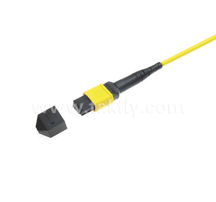 Cordon de patch MPO/MTP blindé Enveloppe métallique robuste, empêche les dommages et l'écrasement par les rongeurs, pour FTTA / Industrie / Mines