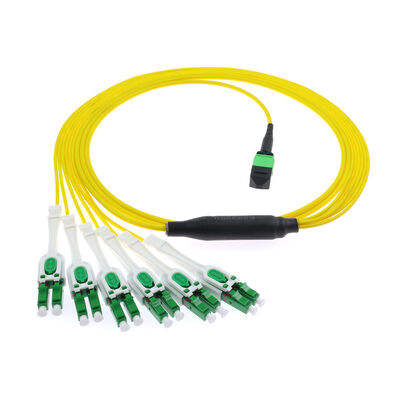 12F MPO -6x LC  APC DX Uniboot SM Patchcord