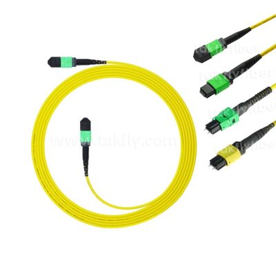 MPO MTP Patchcord SM Cable de tronc 12F à fibre optique pour le centre de données