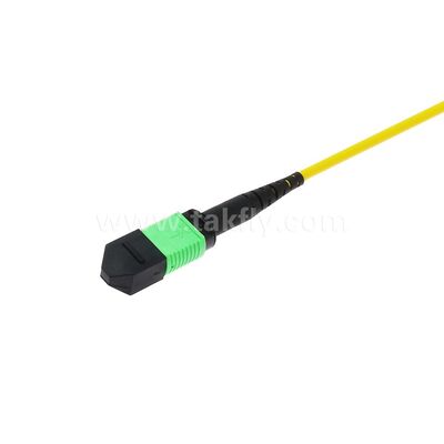 MPO MTP Patchcord SM Cable de tronc 12F à fibre optique pour le centre de données