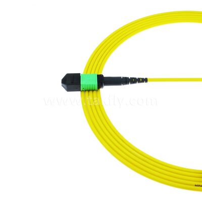 MPO MTP Patchcord SM Cable de tronc 12F à fibre optique pour le centre de données