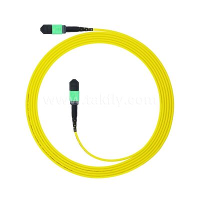 MPO MTP Patchcord SM Cable de tronc 12F à fibre optique pour le centre de données