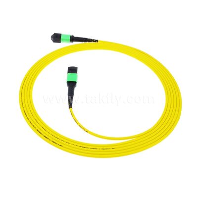 MPO MTP Patchcord SM Cable de tronc 12F à fibre optique pour le centre de données