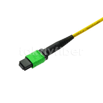 MPO MTP Patchcord SM Cable de tronc 12F à fibre optique pour le centre de données