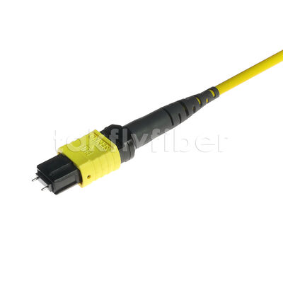 MPO MTP Patchcord SM Trunk Cable 24F Fiber Optic for Data Center AI Telecom FTTX Cabling