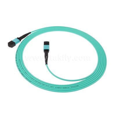 Fibre optique du câble de tronc du millimètre OM3 de Patchcord de MPO MTP 12F pour le câblage de télécom d'AI de centre de données