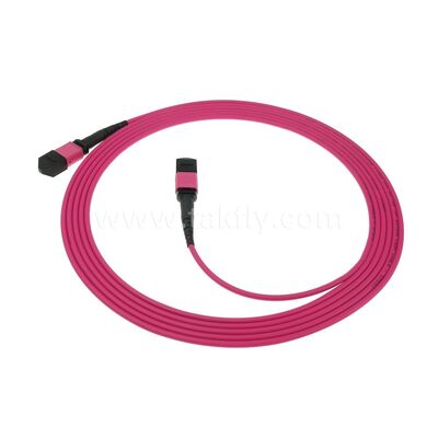 MPO MTP Patchcord Multimode OM4 Trunk Cable 12F Fiber Optic for Data Center AI Telecom Cabling