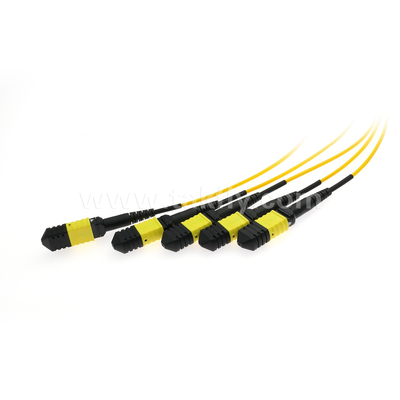 MPO/MTP Fanout Cable PLC Splitter 1x4 Fibre optique à mode unique pour le centre de données FTTX
