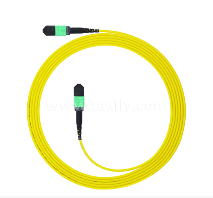 MPO/MTP Single-mode (SM) Patch Cord – 4C to 72C, High-Density Multi-fiber Trunk for 40G/100G/400G Networks
