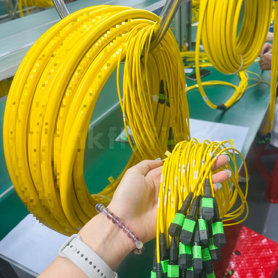 Cordon de brassage Takfly 288 fibres MPO/MTP Ultra-Densité