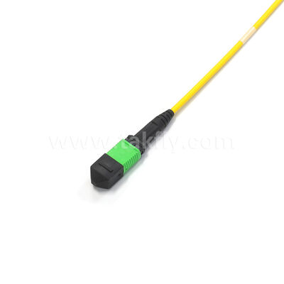 Câble Trunk MPO Monomode OS2 Amphenol personnalisé 288 fibres perte d'insertion max 0,35 dB pour centre de données