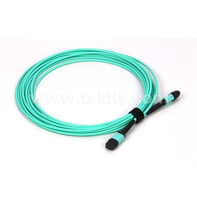 Cable à fibre optique multi-mode 12/24 cœurs Mpo Mtp Om3 pour les applications dans les centres de données