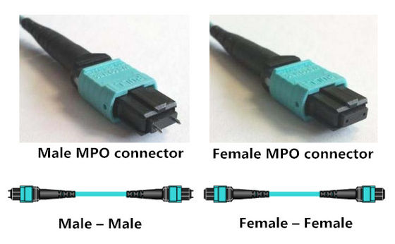 Câble MPO d'évasion de 8 noyaux 4 à la corde de correction optique duplex de fibre de LC OM3 MPO MTP