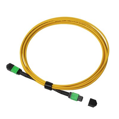 câble LSZH de tronc de fibre de 8F 12F 24F MTP MPO pour 10G 40G 100G 400G
